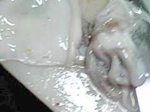 酒の肴 甲烏賊の刺身 甲烏賊のさばき方 保存 レシピ 作り方 By はっとはっと 楽天レシピ 酒の肴 甲烏賊の刺身 甲烏賊のさばき方 保存 レシピ 作り方 By はっとはっと 楽天レシピ